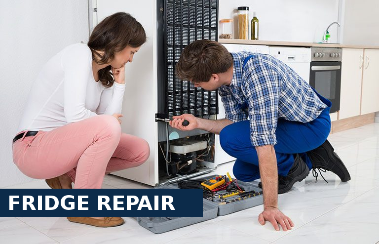 Fridge Repair South Woodford
